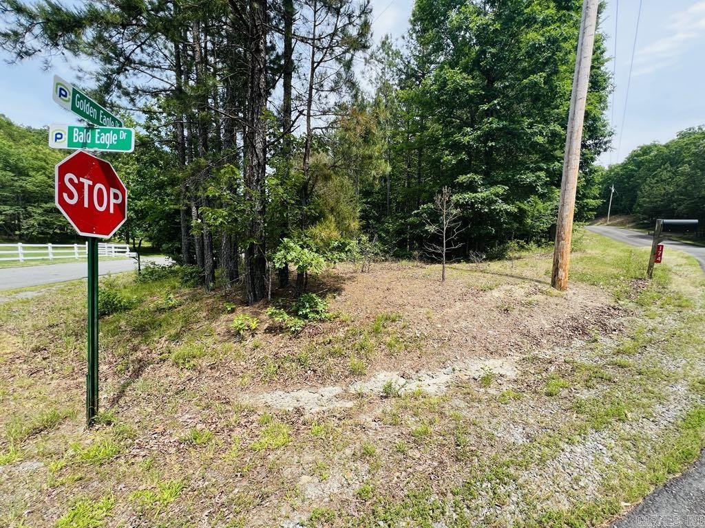 26  Bald Eagle  Paron, AR
