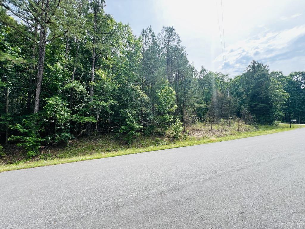 26  Bald Eagle  Paron, AR