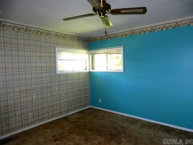 810  Bushy Avenue  Caruthersville, MO