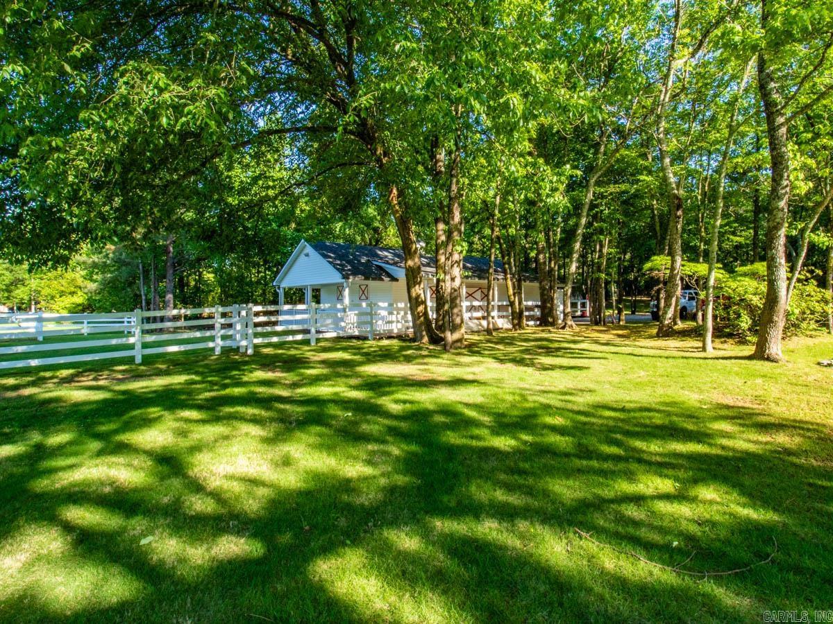 1  Witness Tree  Paron, AR