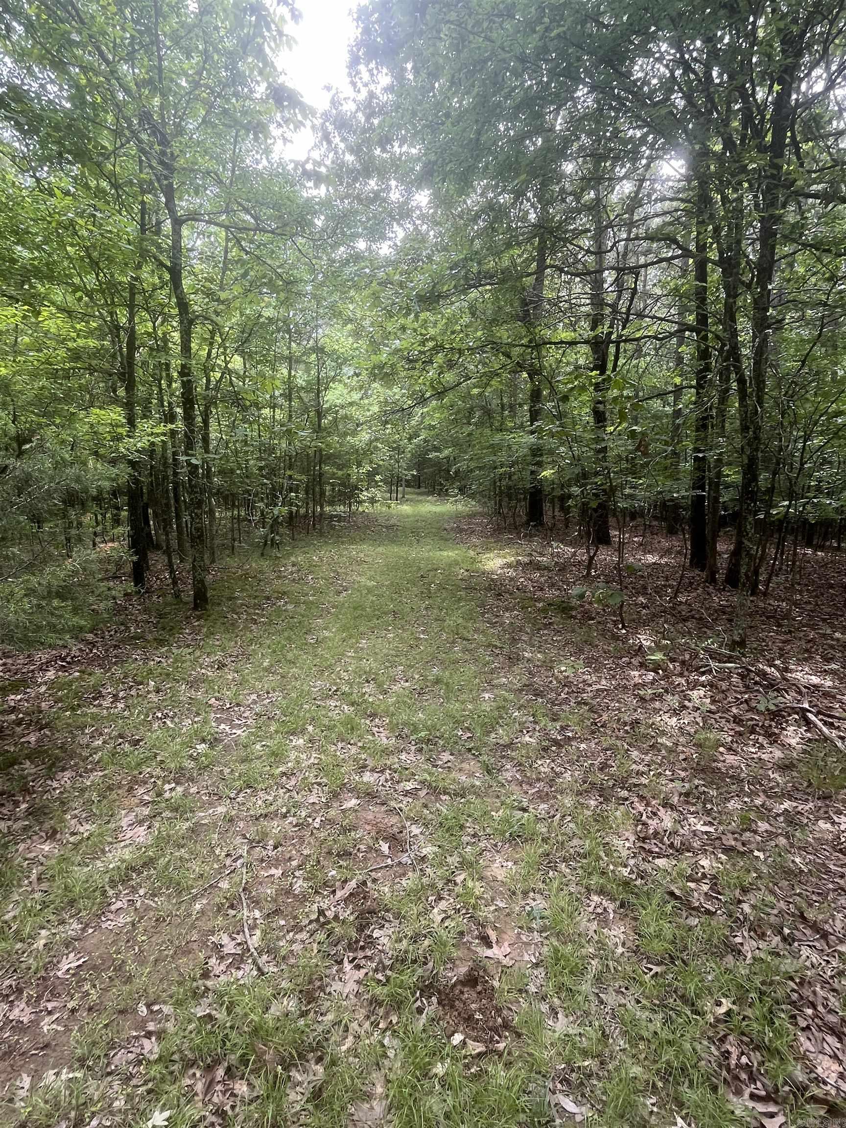 83 Acres  Greene 402 Rd  Lafe, AR