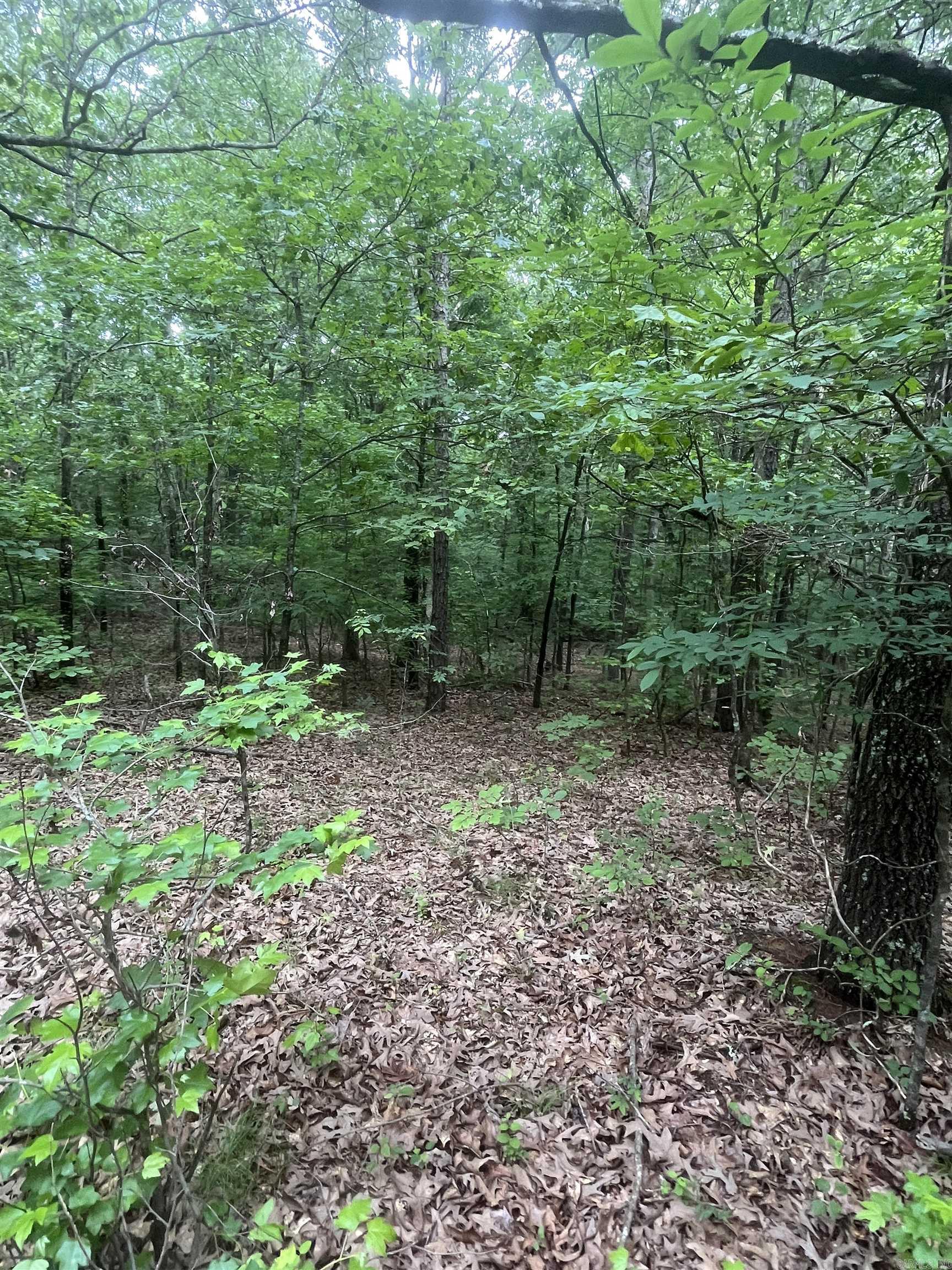 83 Acres  Greene 402 Rd  Lafe, AR