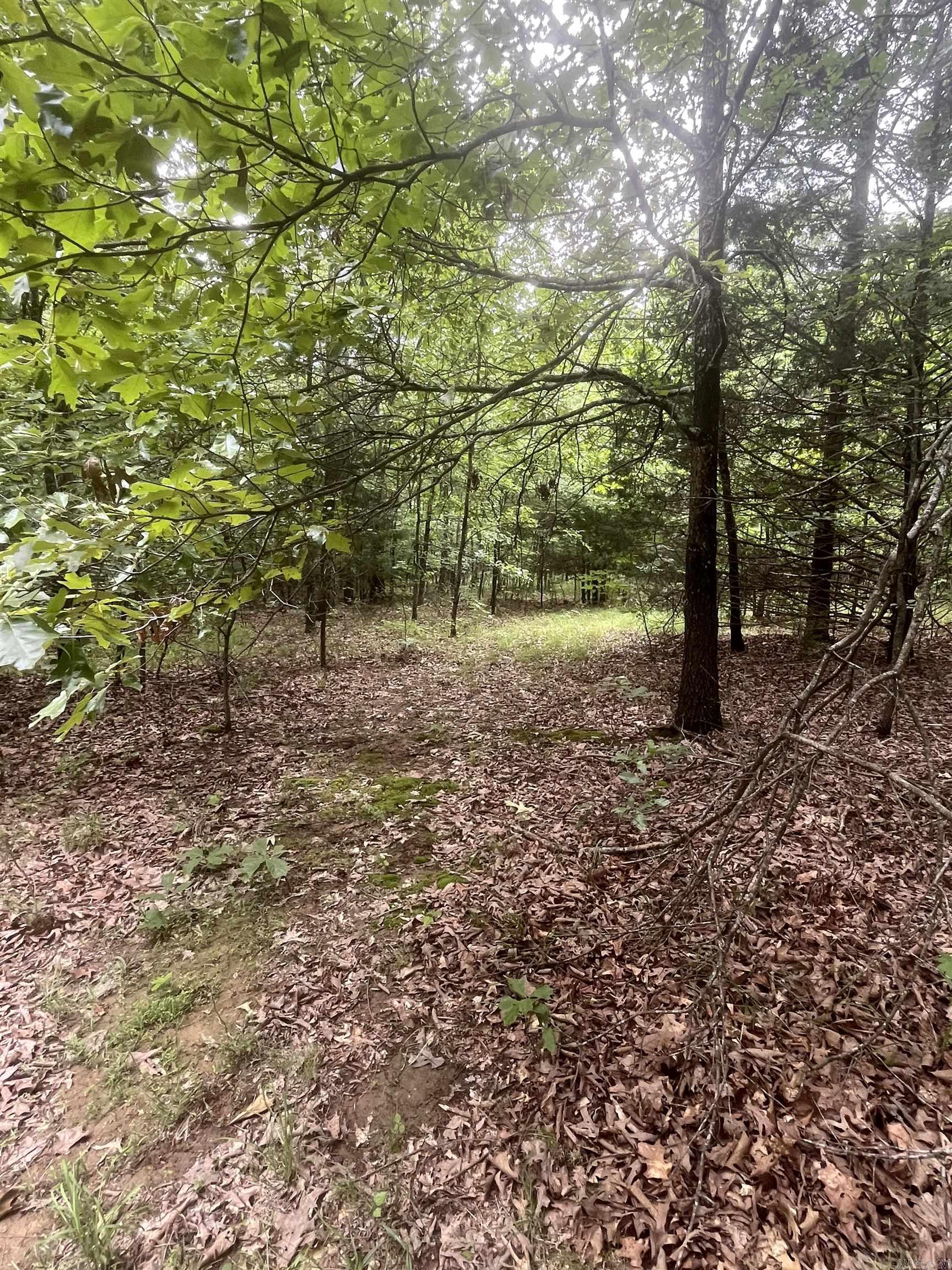 83 Acres  Greene 402 Rd  Lafe, AR