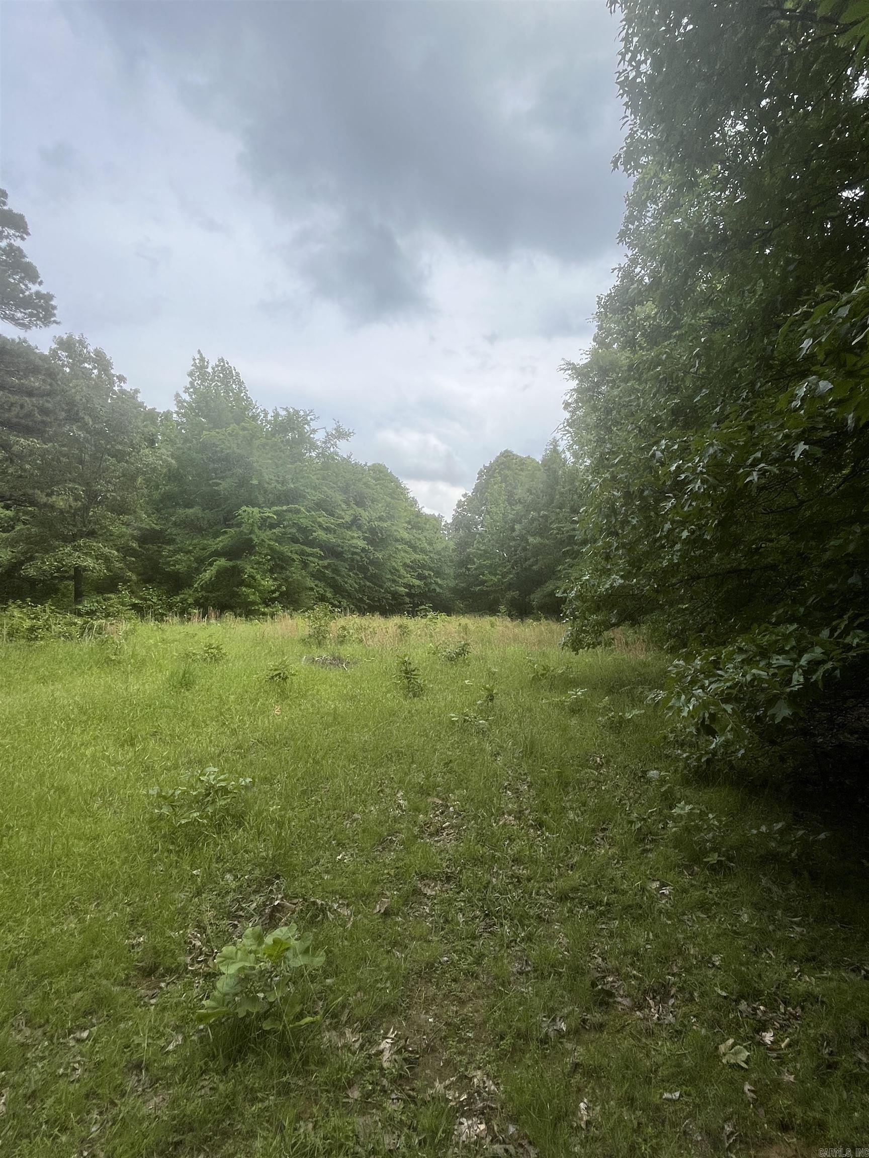 83 Acres  Greene 402 Rd  Lafe, AR