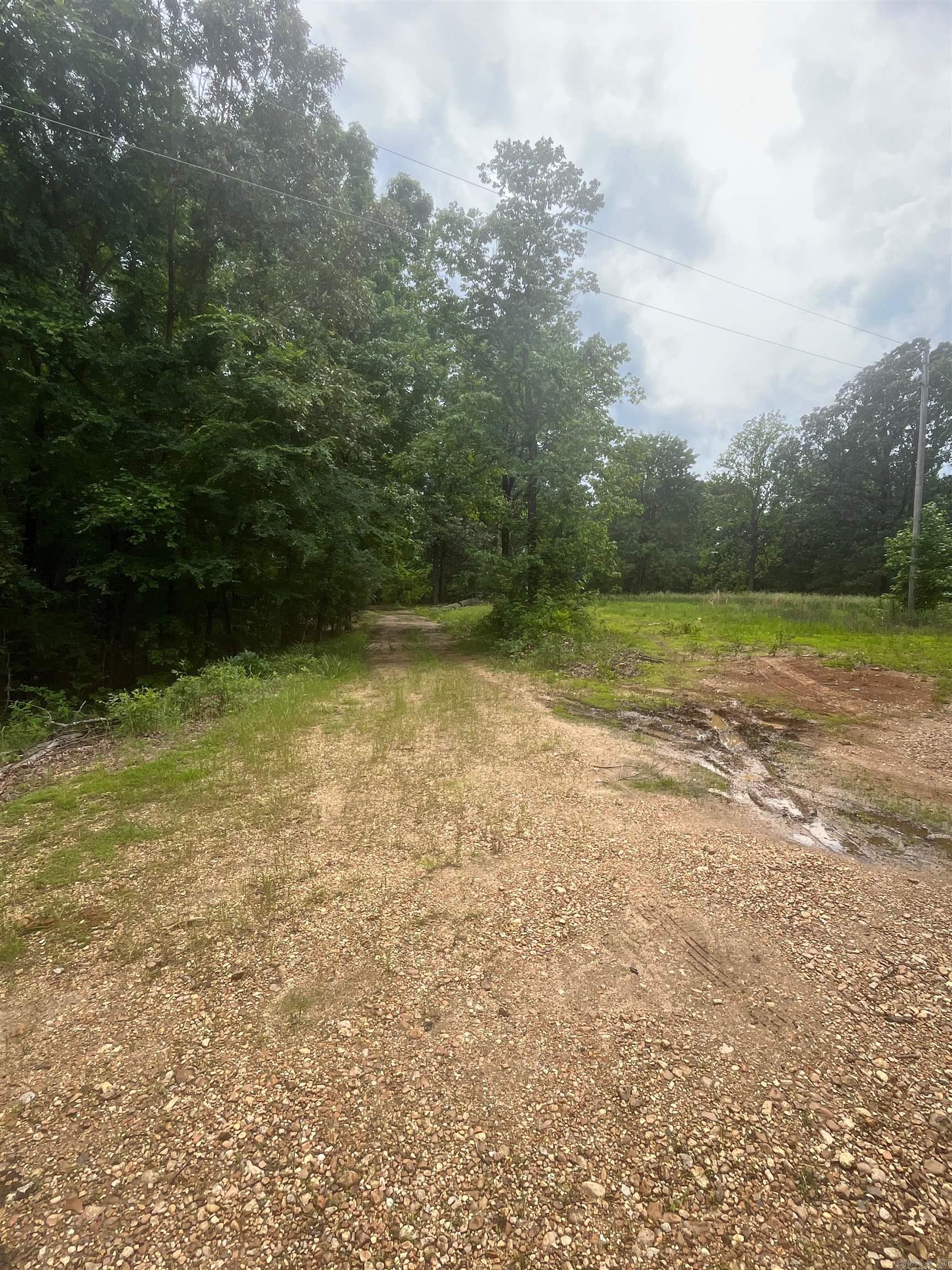83 Acres  Greene 402 Rd  Lafe, AR