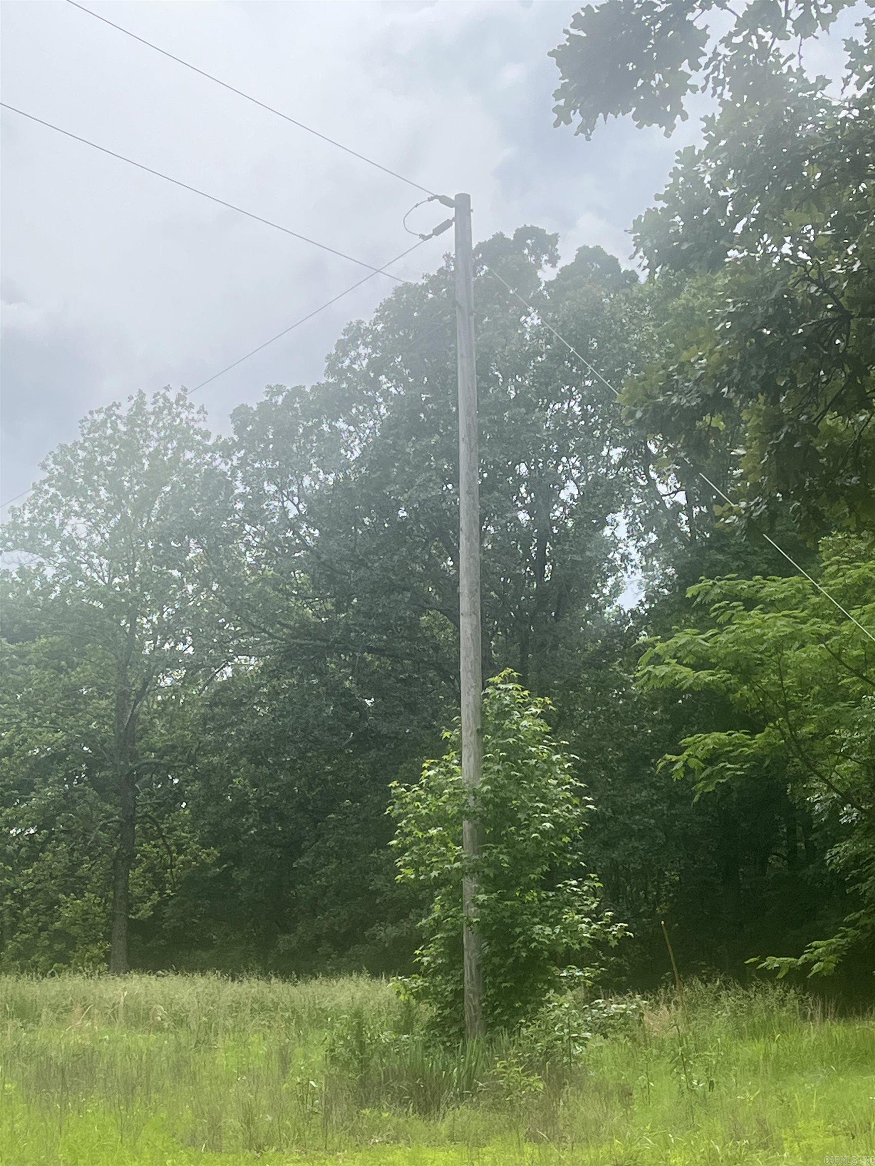 83 Acres  Greene 402 Rd  Lafe, AR