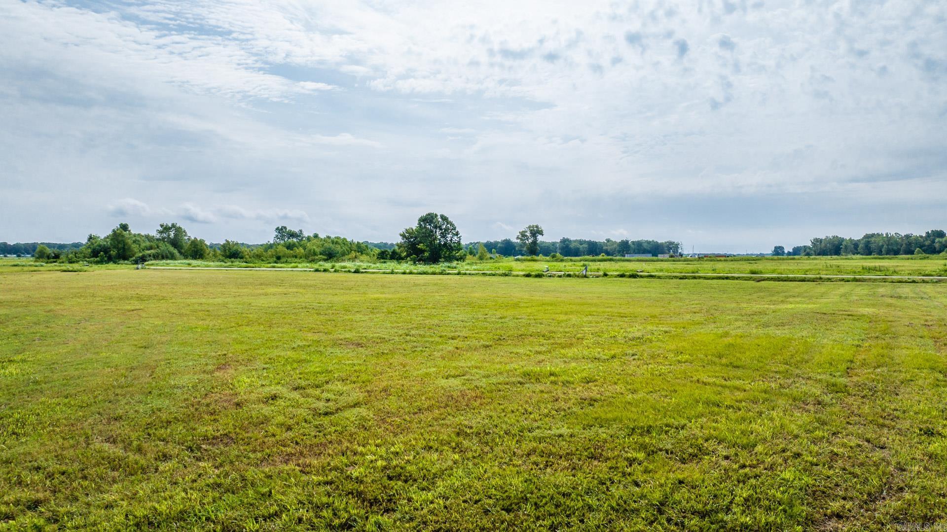 13319  Smarty Jones  Scott, AR