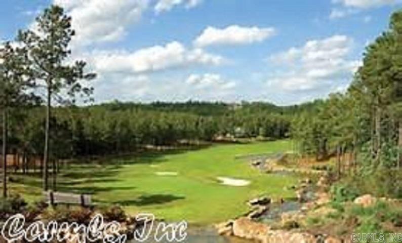 21  Constantina  Hot Springs Village, AR