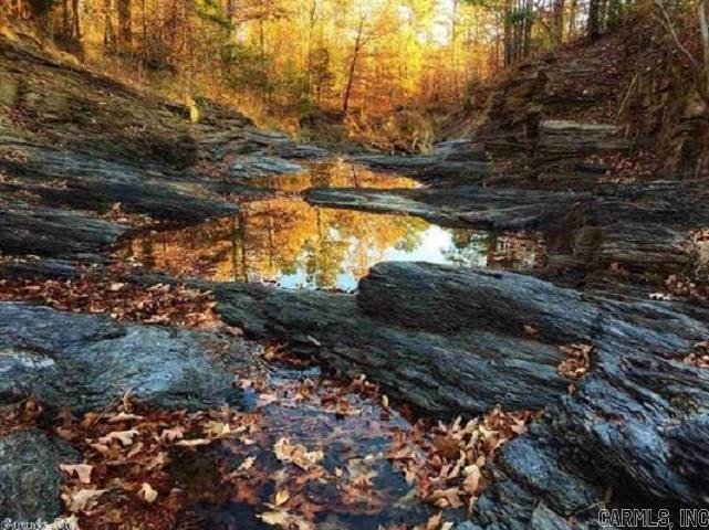 21  Constantina  Hot Springs Village, AR