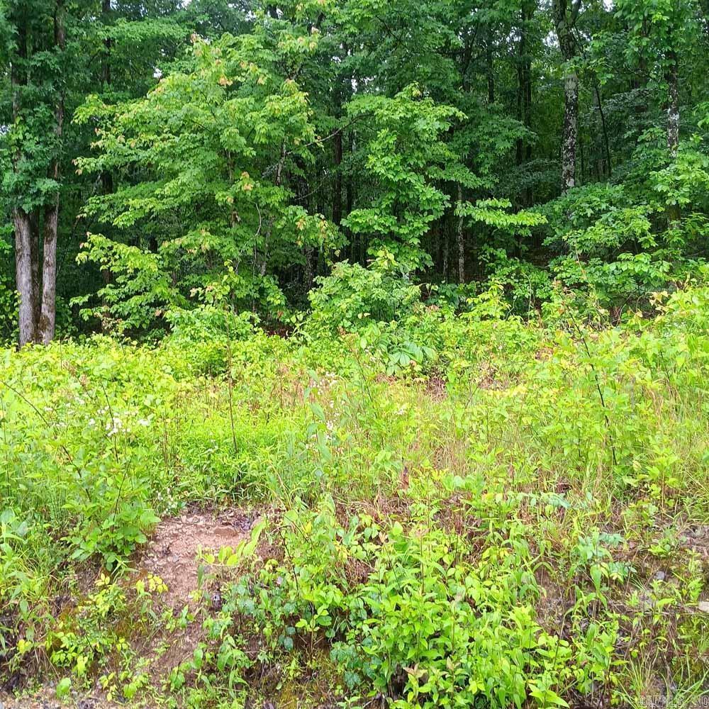 Polk County  62  Mena, AR