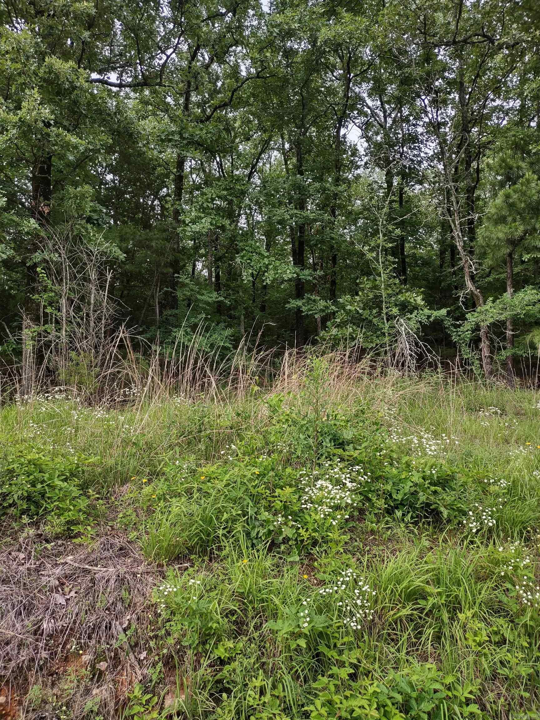 LOT 8  CIRCLE DRIVE  Mayflower, AR