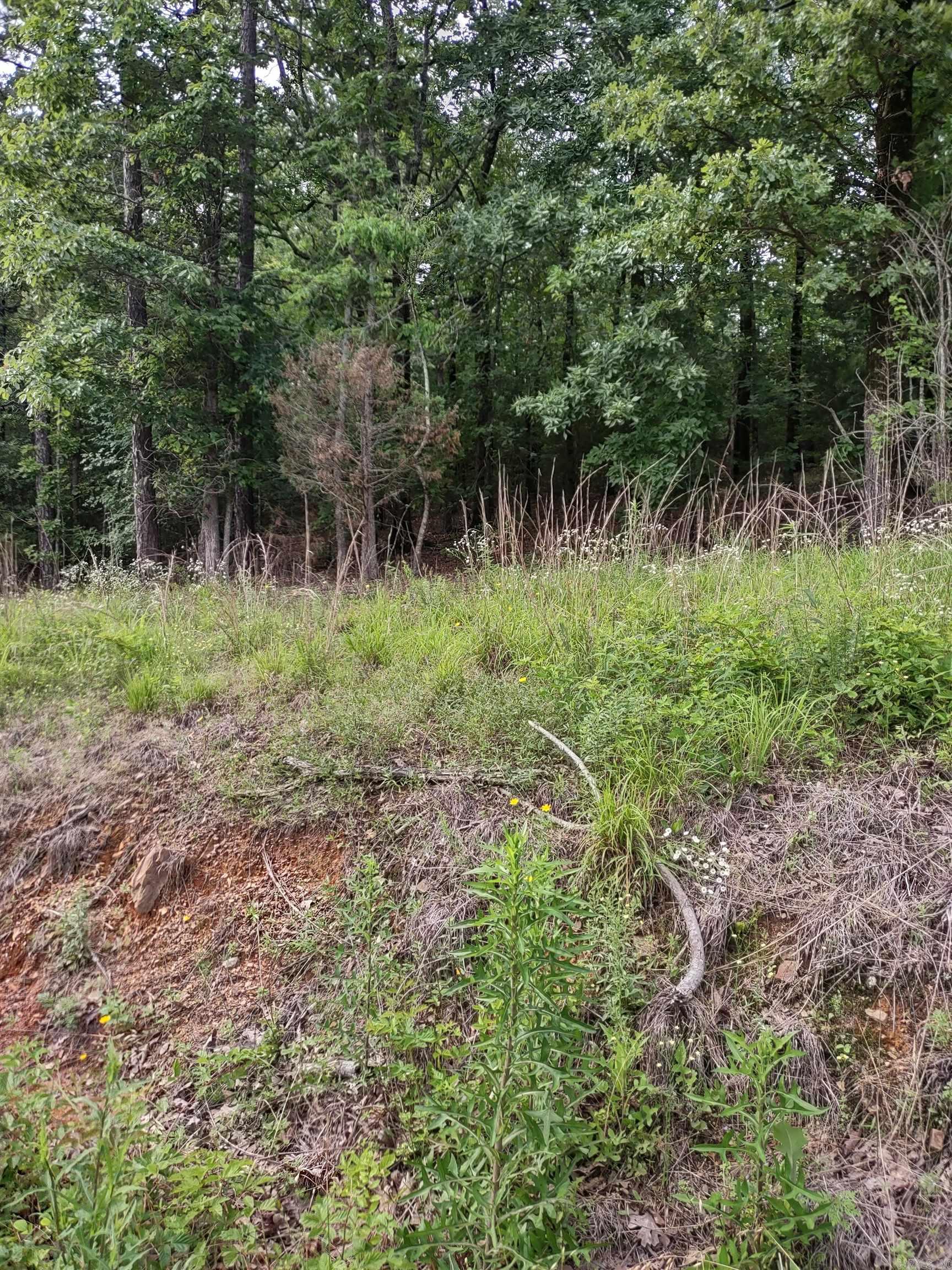 LOT 8  CIRCLE DRIVE  Mayflower, AR