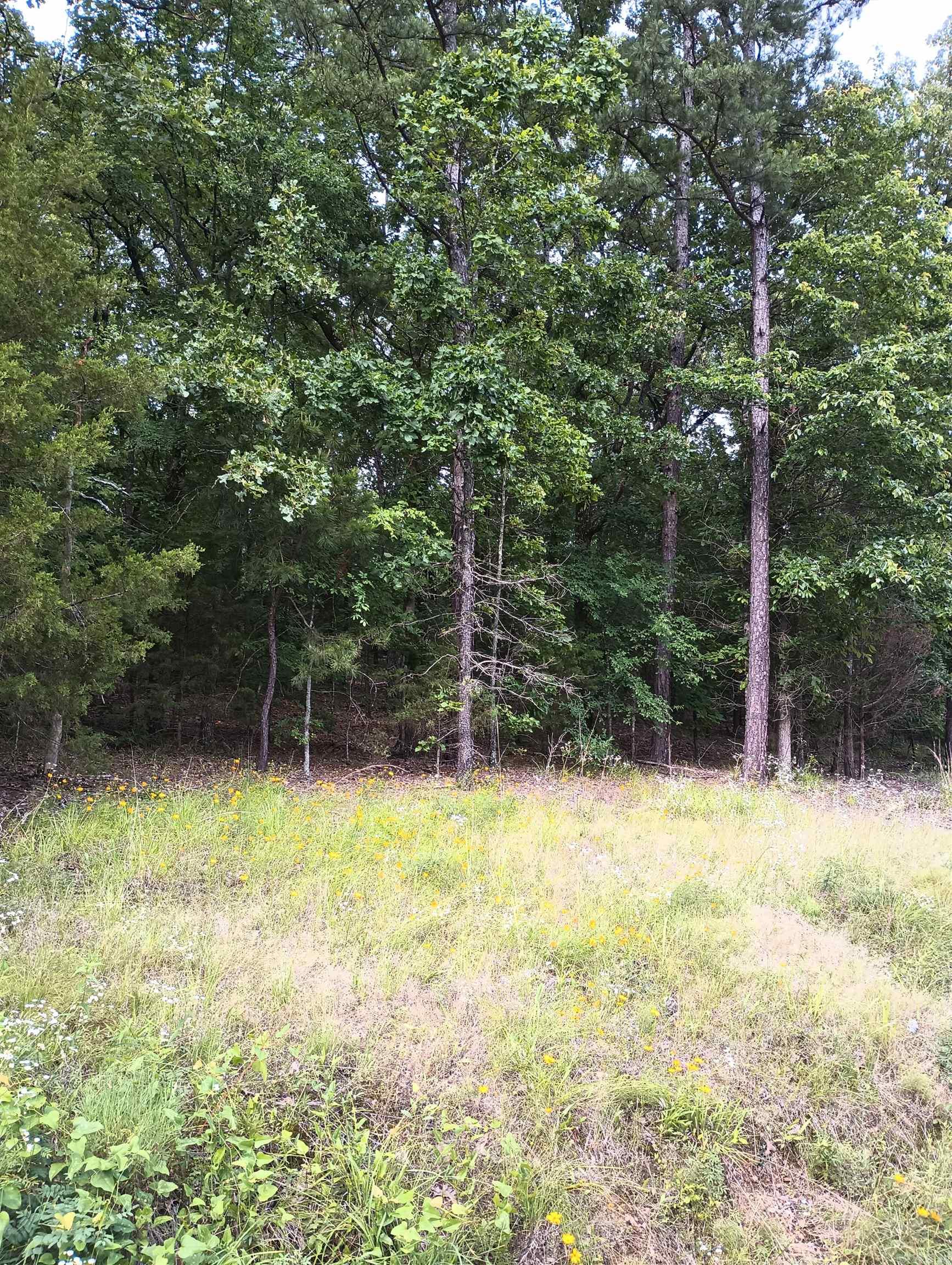 LOT 8  CIRCLE DRIVE  Mayflower, AR