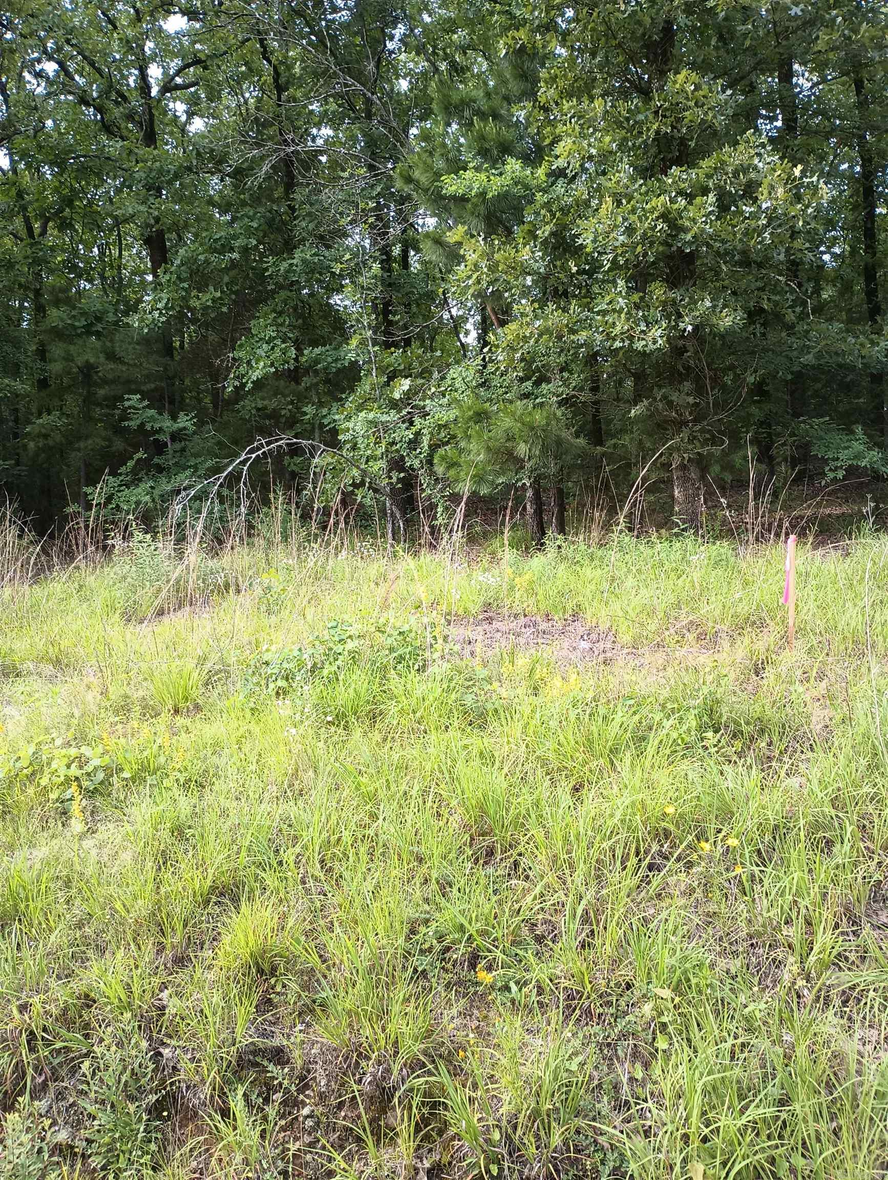 LOT 8  CIRCLE DRIVE  Mayflower, AR