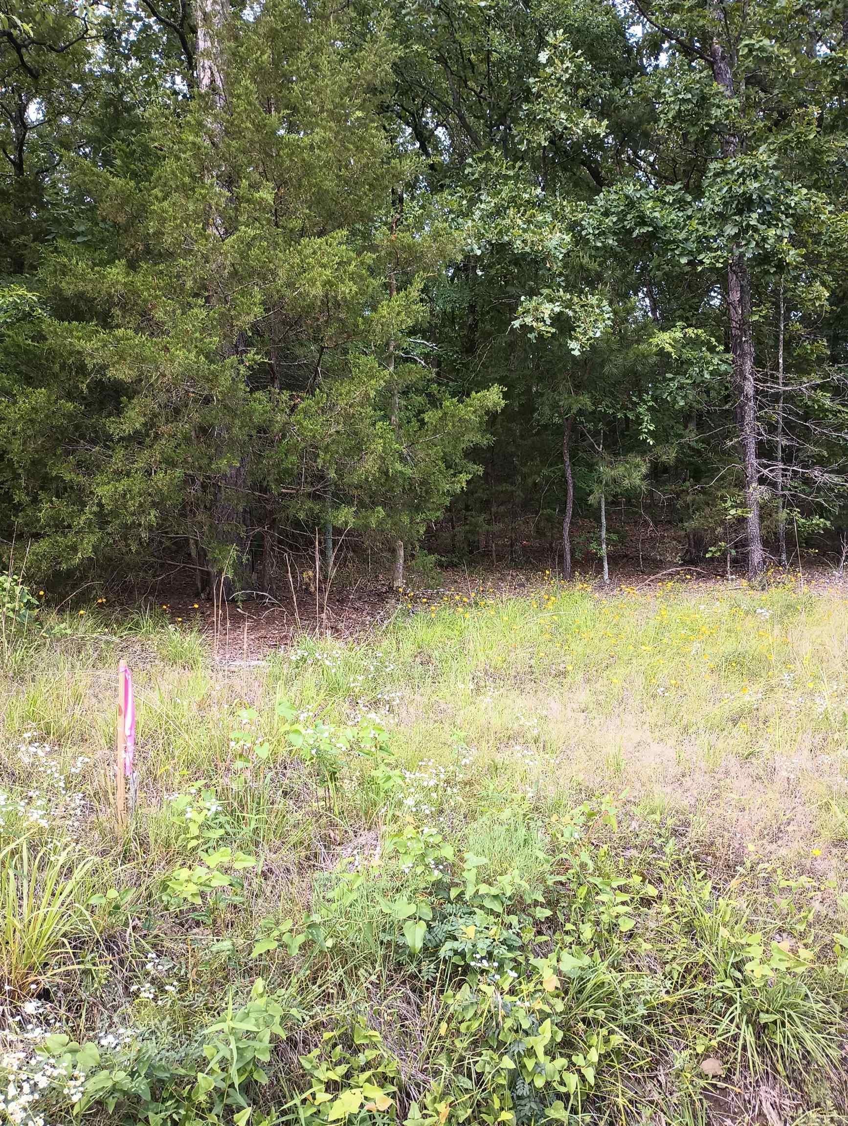 LOT 8  CIRCLE DRIVE  Mayflower, AR