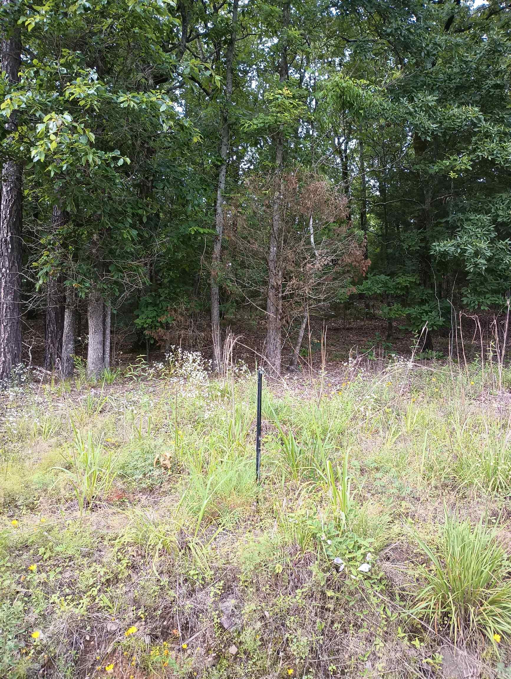 LOT 8  CIRCLE DRIVE  Mayflower, AR