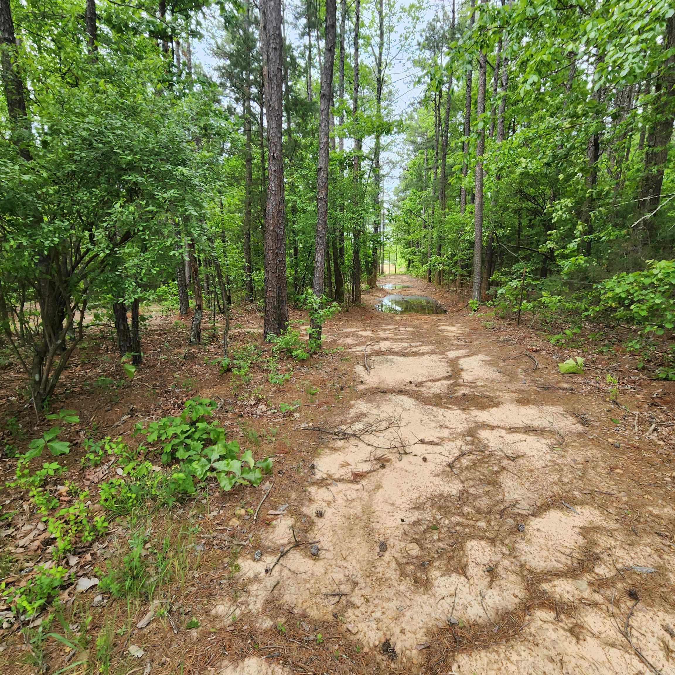 479  County Line Road  Rose Bud, AR