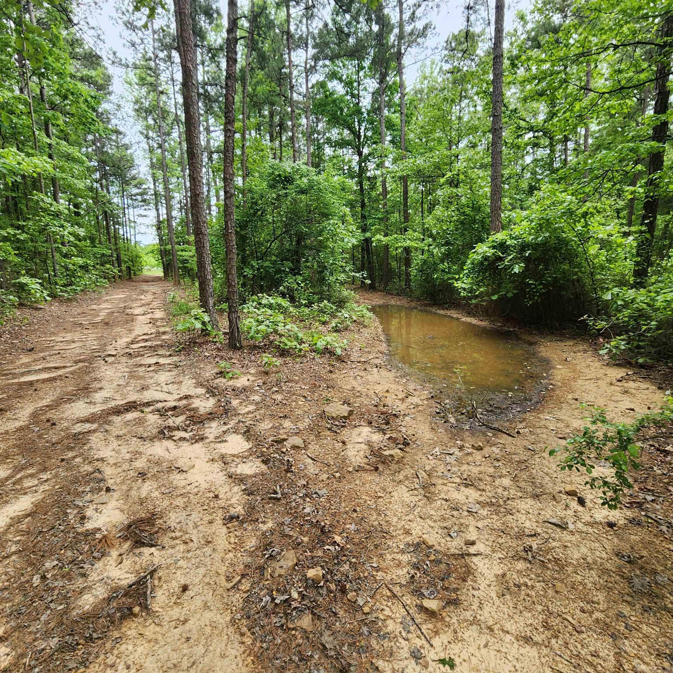 479  County Line Road  Rose Bud, AR