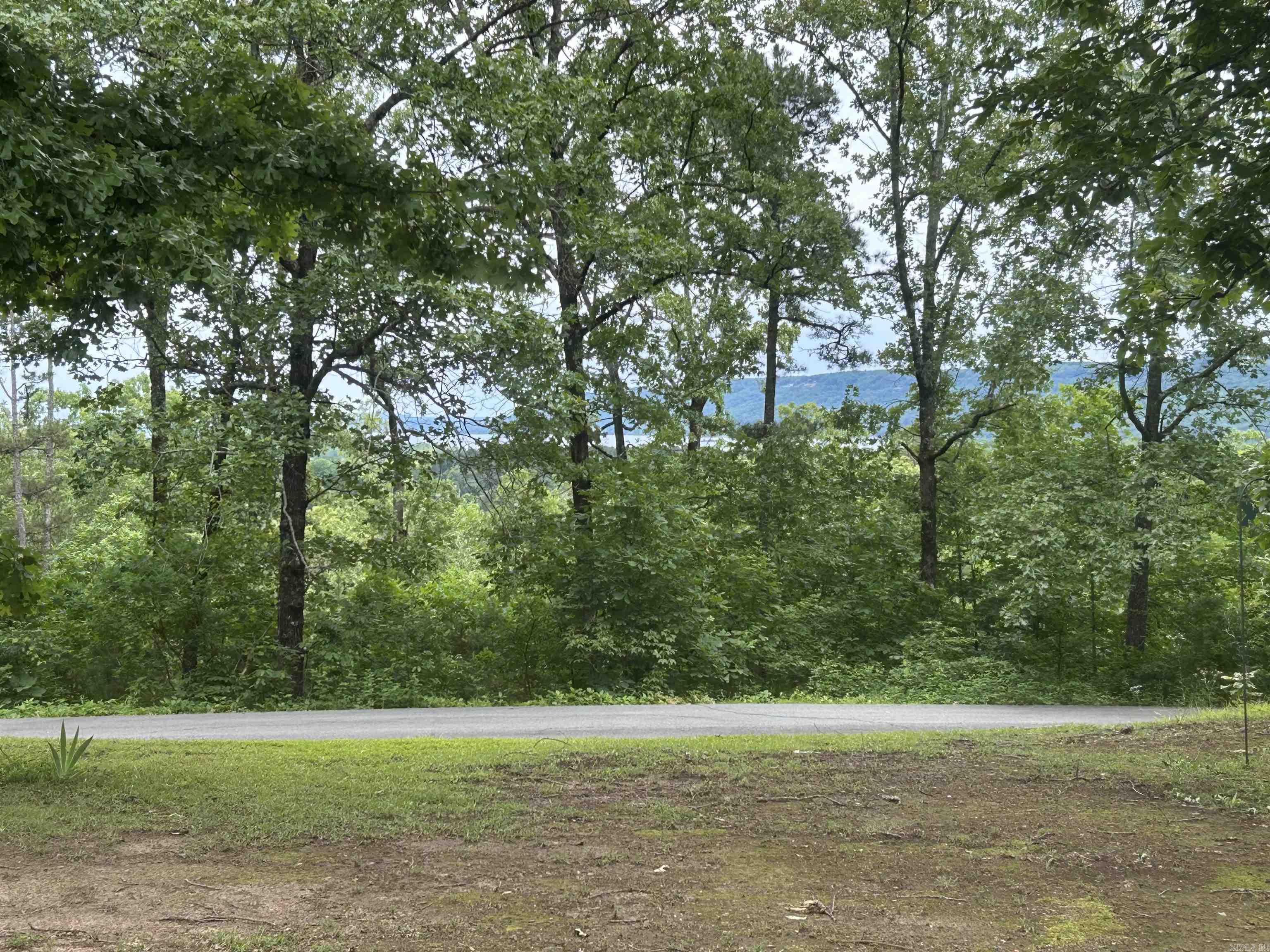 99  Heritage  Higden, AR