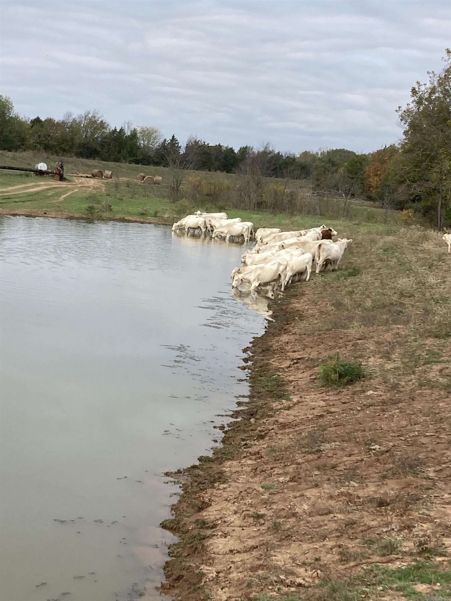   County Road 333  Dardanelle, AR