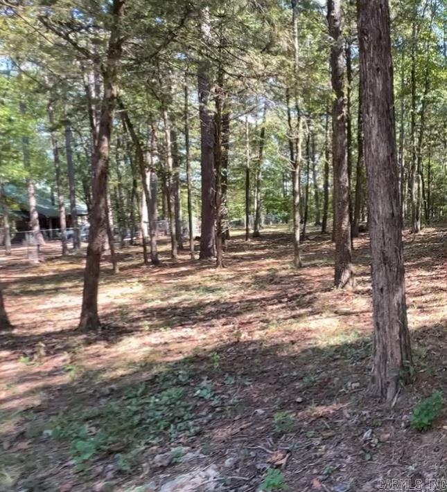 1535  Klondike  Clinton, AR