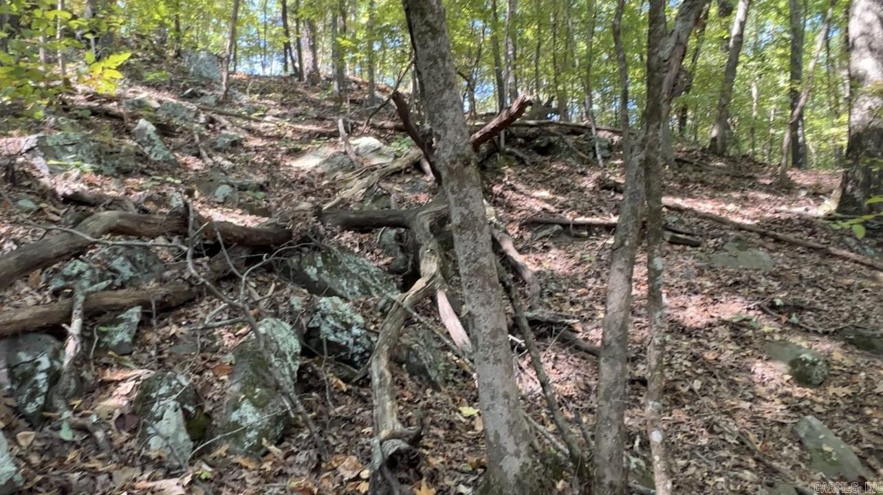 1535  Klondike  Clinton, AR