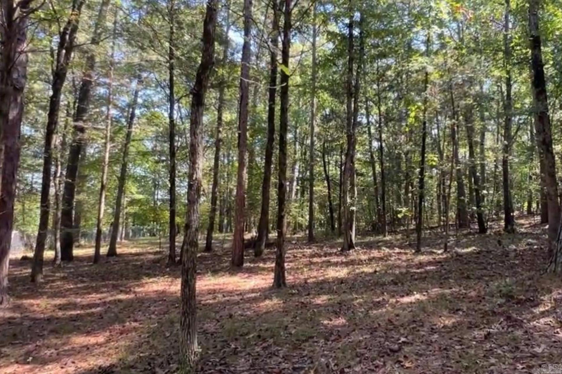 1535  Klondike  Clinton, AR