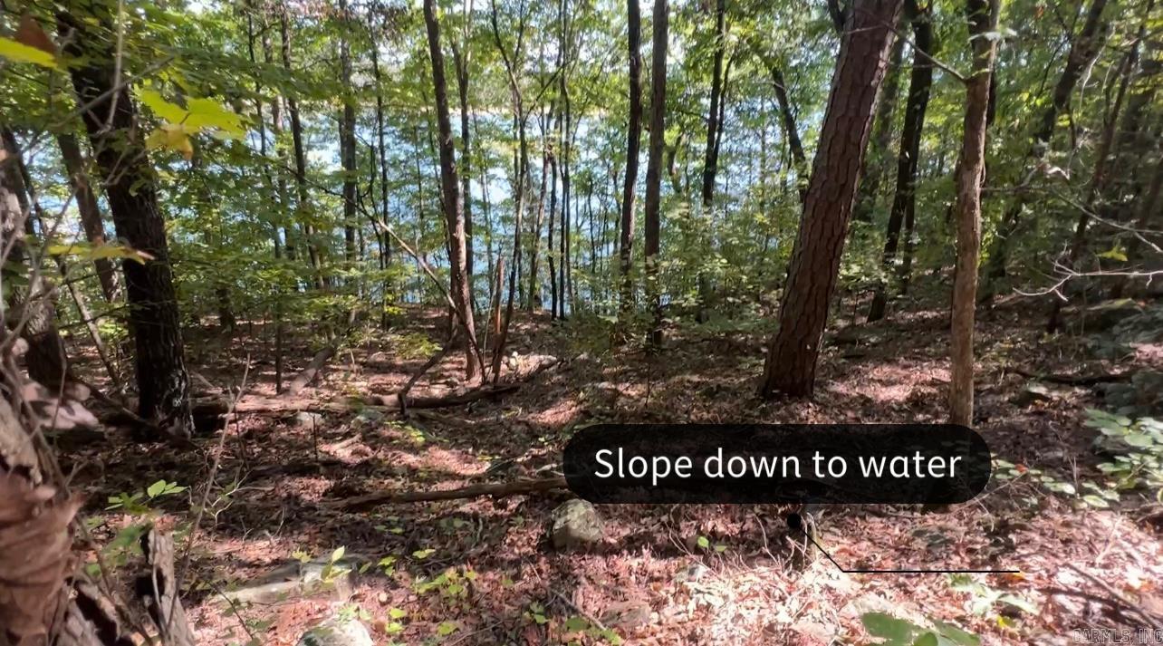1535  Klondike  Clinton, AR