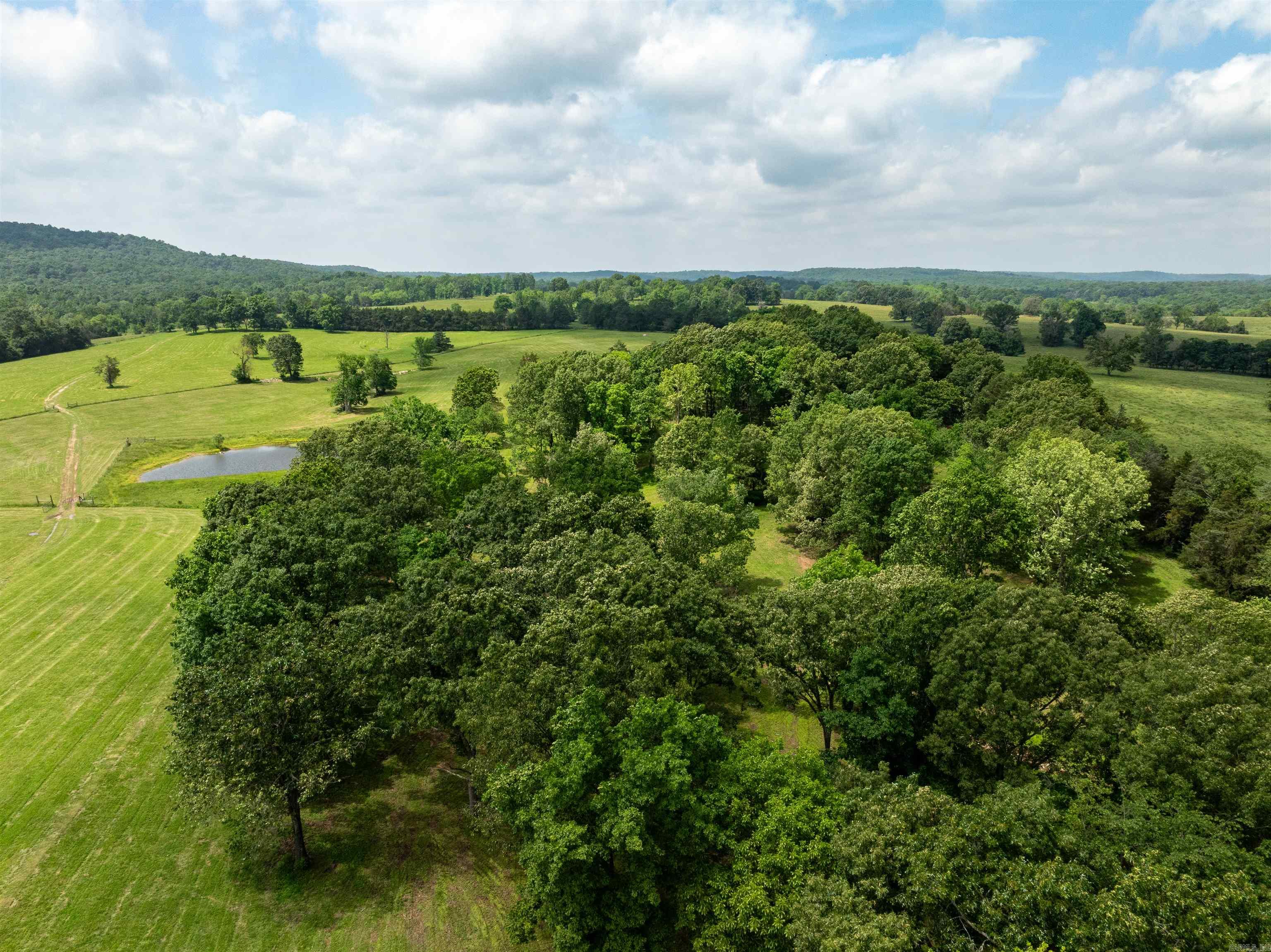1237  AR Hwy 354  Ash Flat, AR