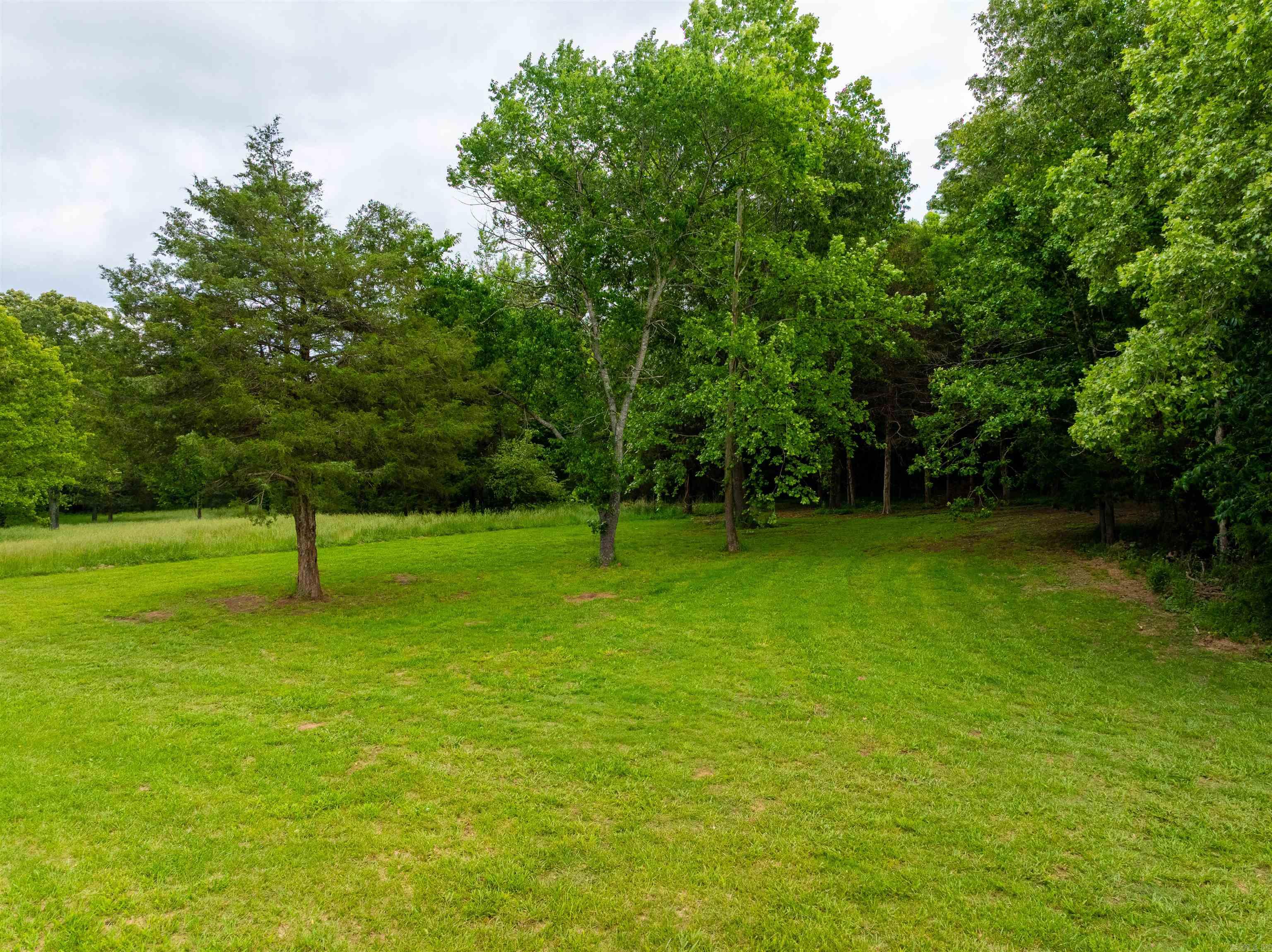 169  Spring Ave  Hardy, AR