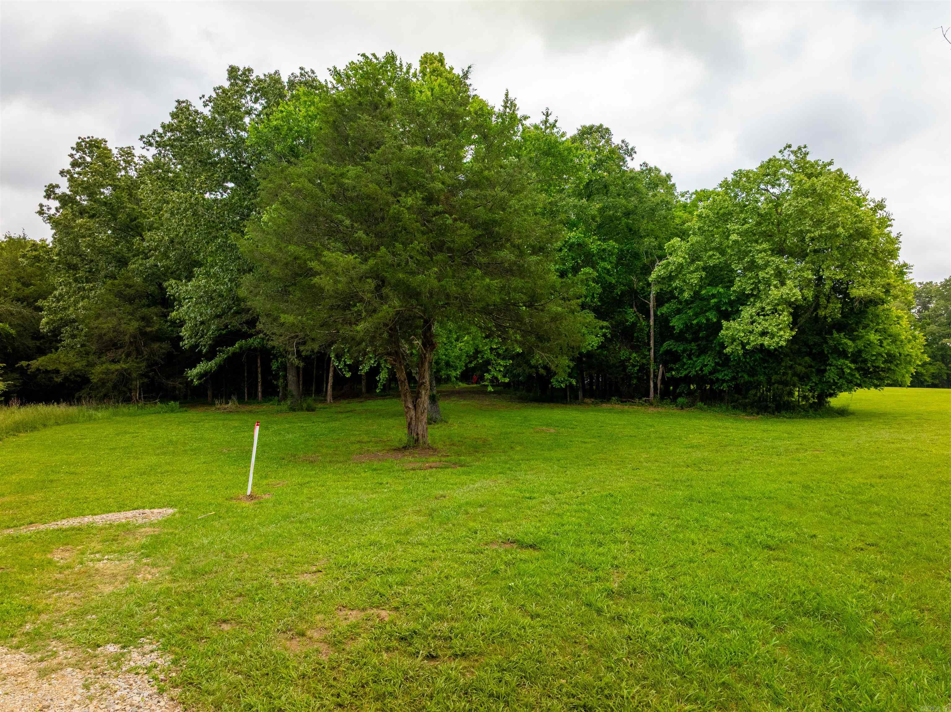 169  Spring Ave  Hardy, AR