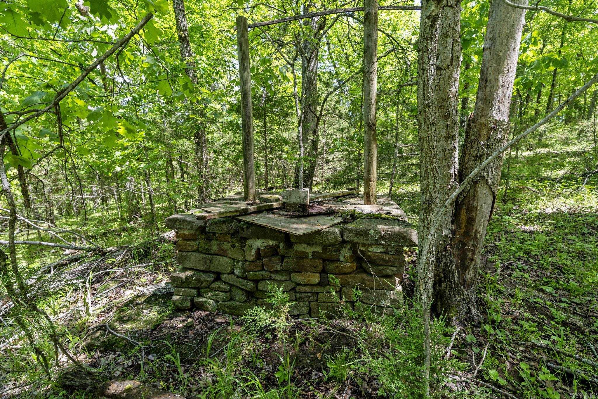 10836  Bray  Elkins, AR