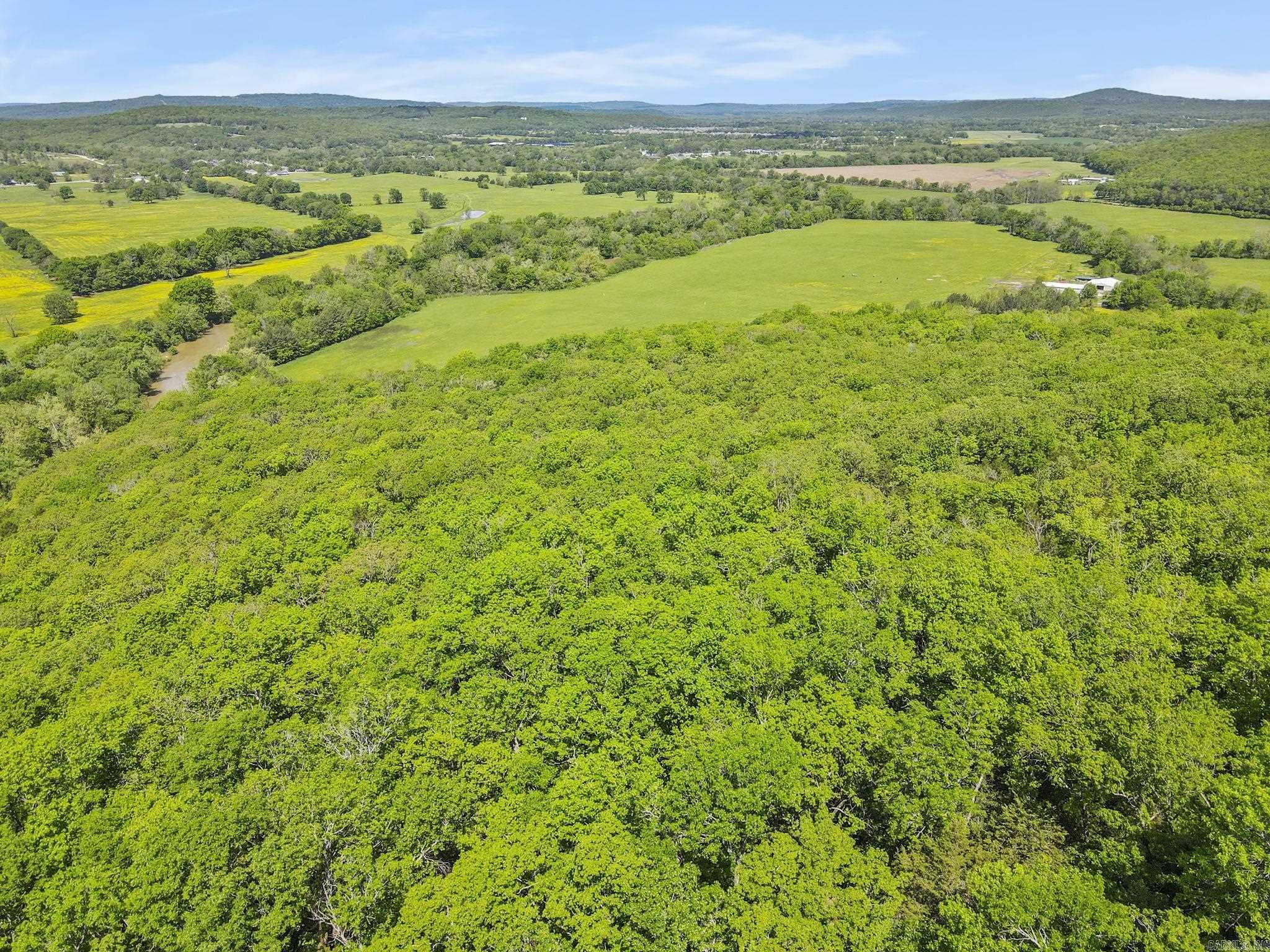 10836  Bray  Elkins, AR