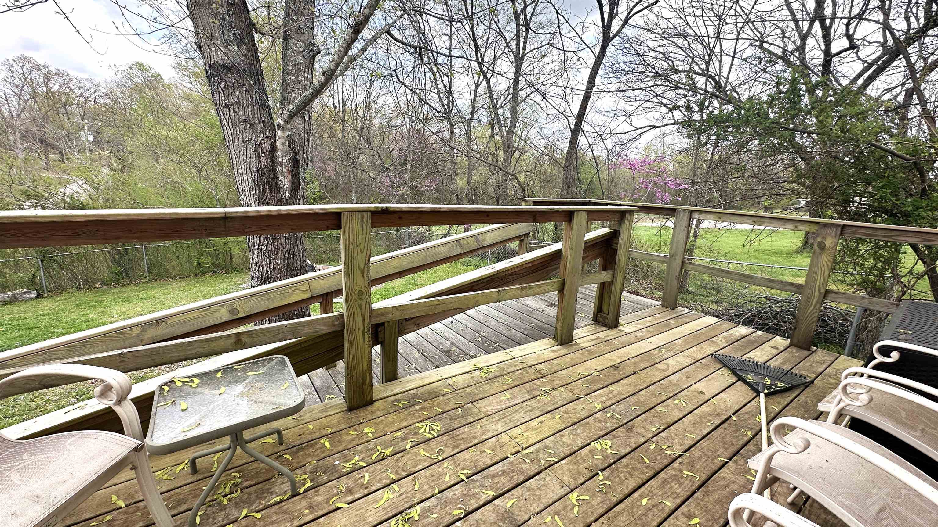 21  Sharp  Ash Flat, AR
