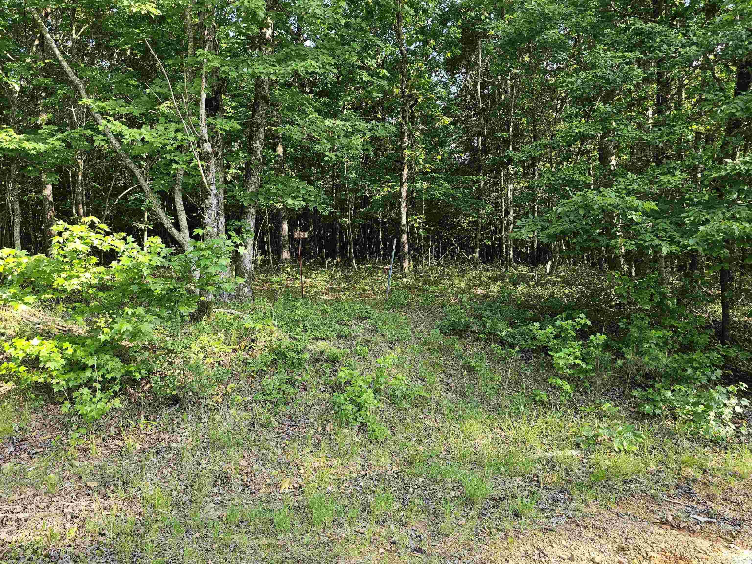 Lot 20 Ukn  April Ln  Wickes, AR