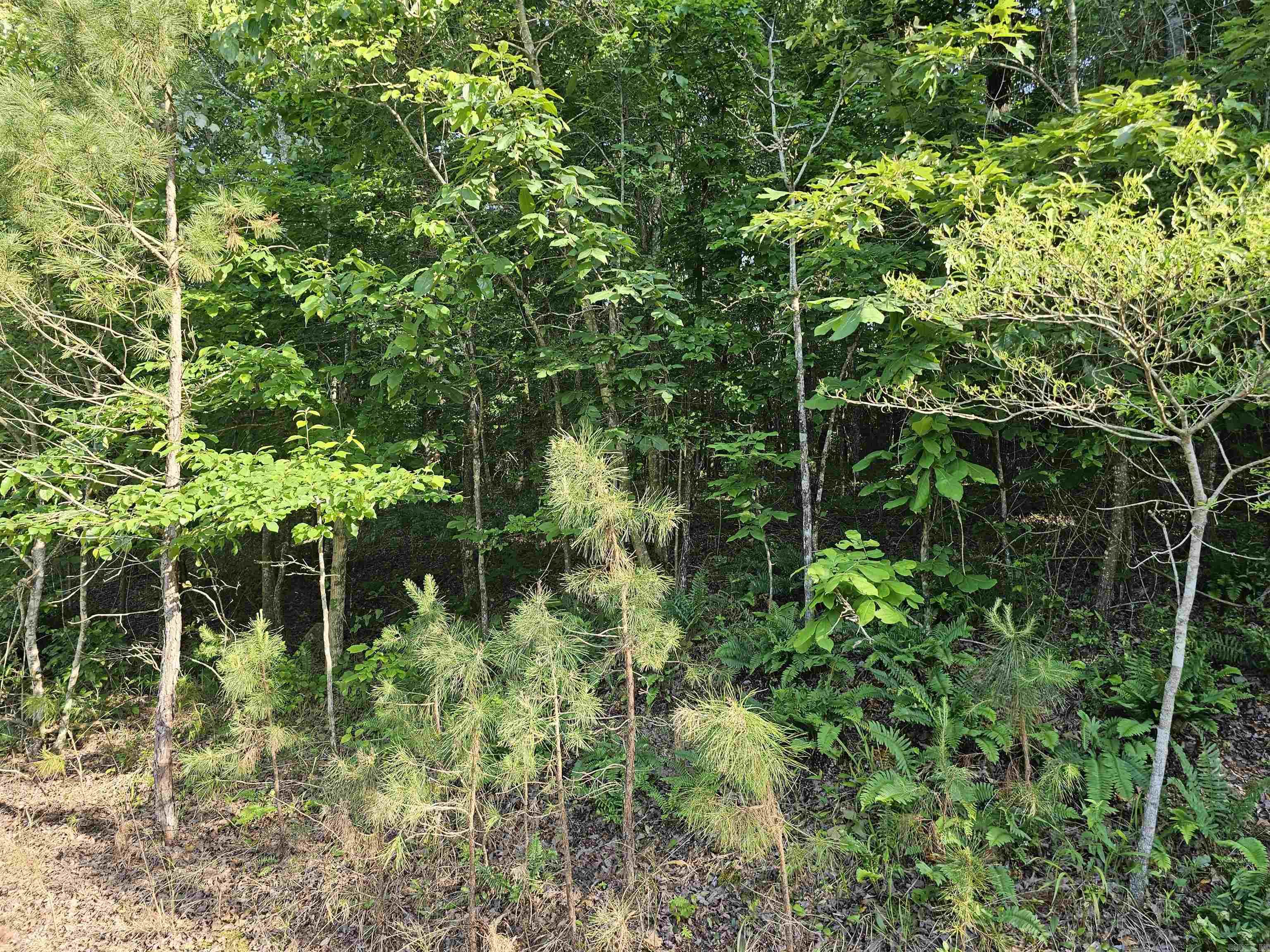 Lot 21 Unk  April Ln  Wickes, AR