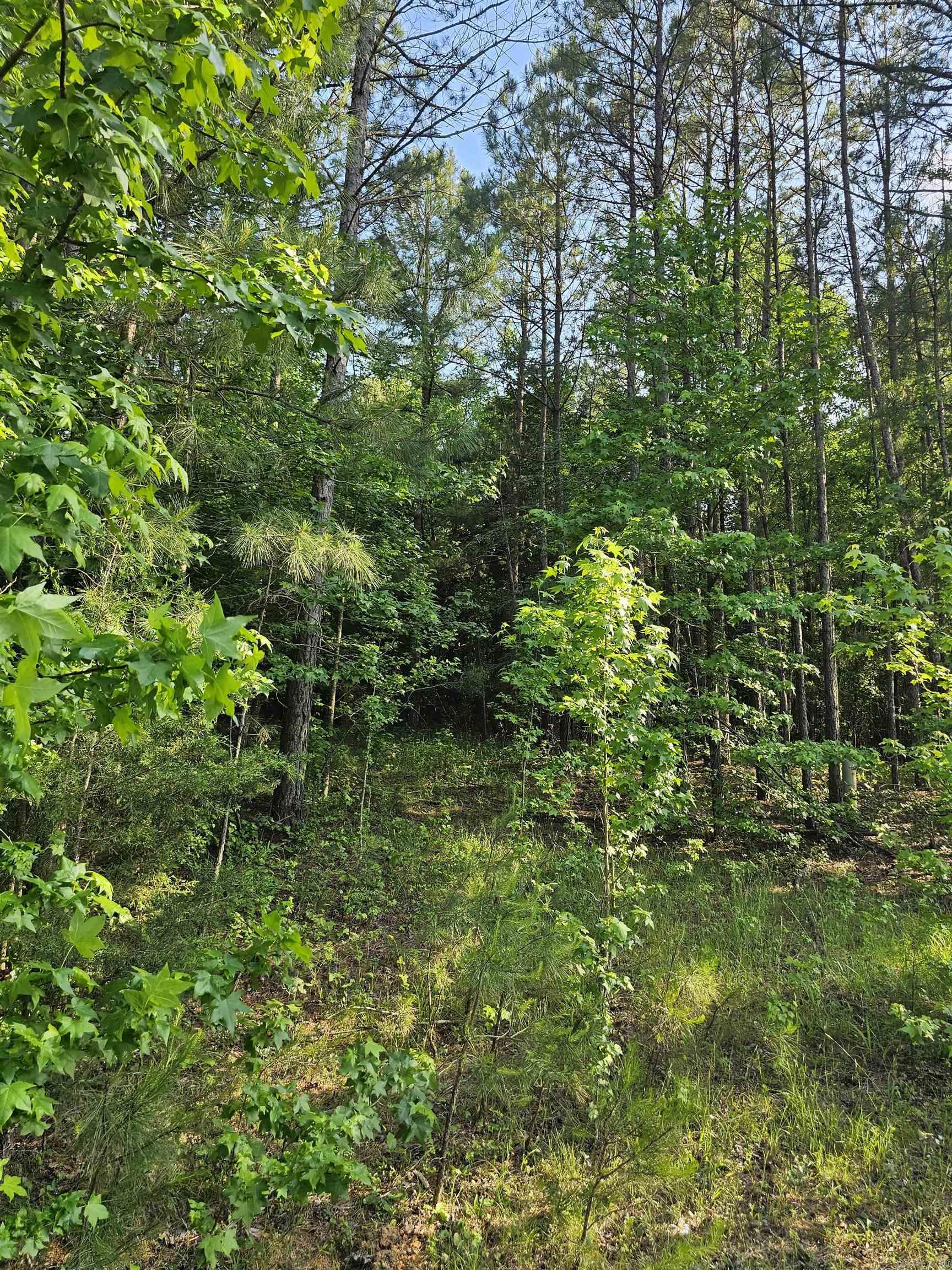 Lot 21 Unk  April Ln  Wickes, AR