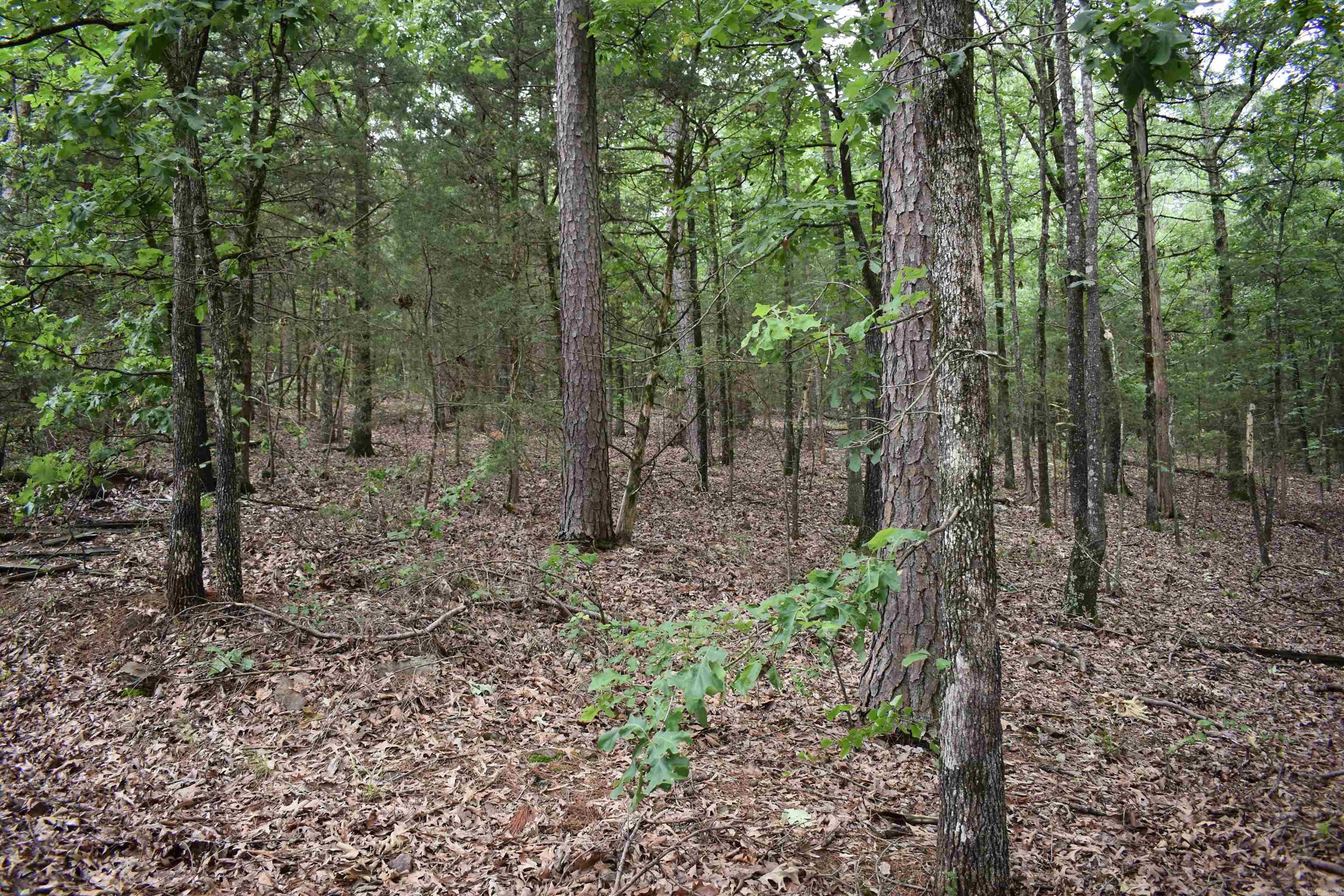 10355  Rodeo Road  Belleville, AR