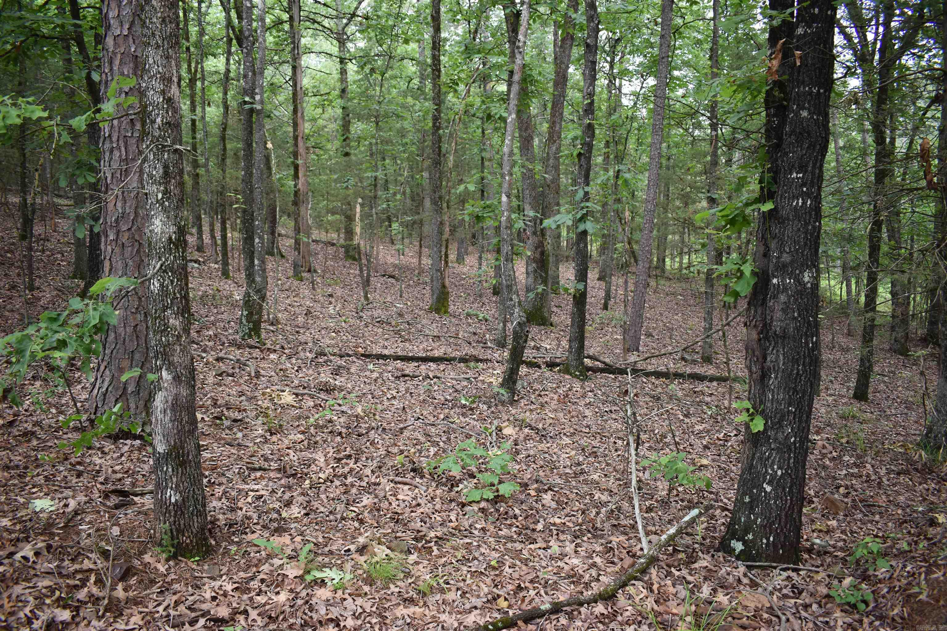 10355  Rodeo Road  Belleville, AR