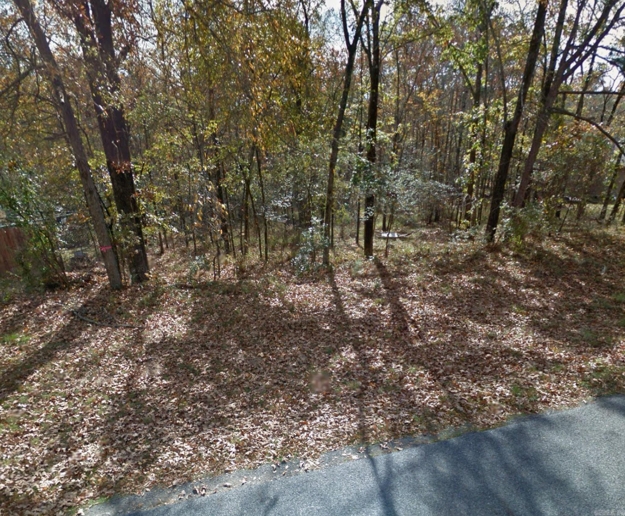 00  Plum Hollow  Hot Springs, AR