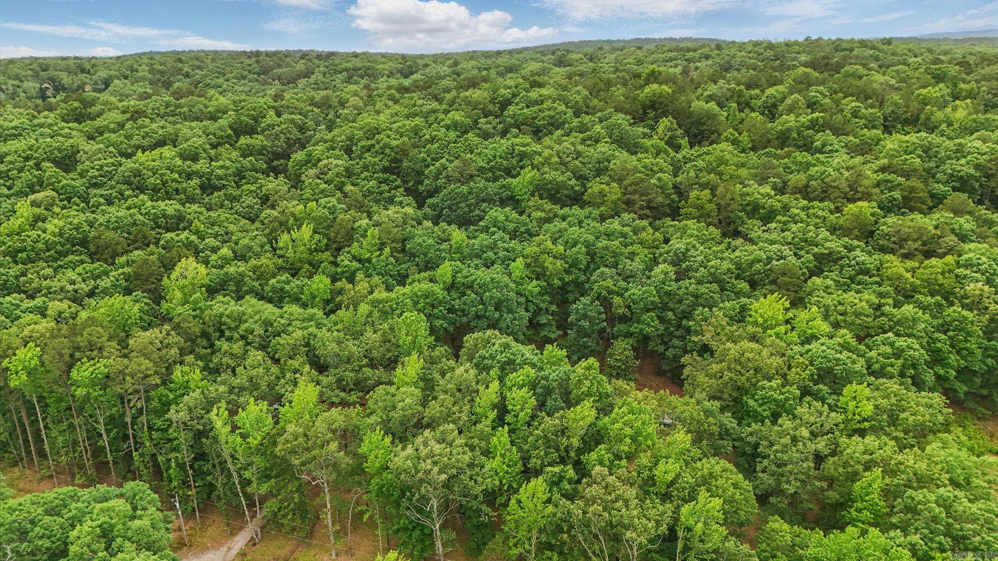 16501  Burlingame  Little Rock, AR