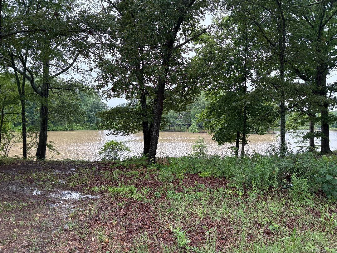 12830  Griffin  Des Arc, AR