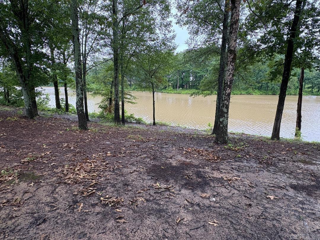 12830  Griffin  Des Arc, AR