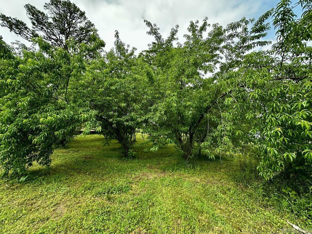 4530  HWY 8 E  Mena, AR