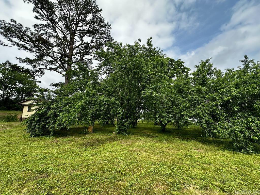 4530  HWY 8 E  Mena, AR