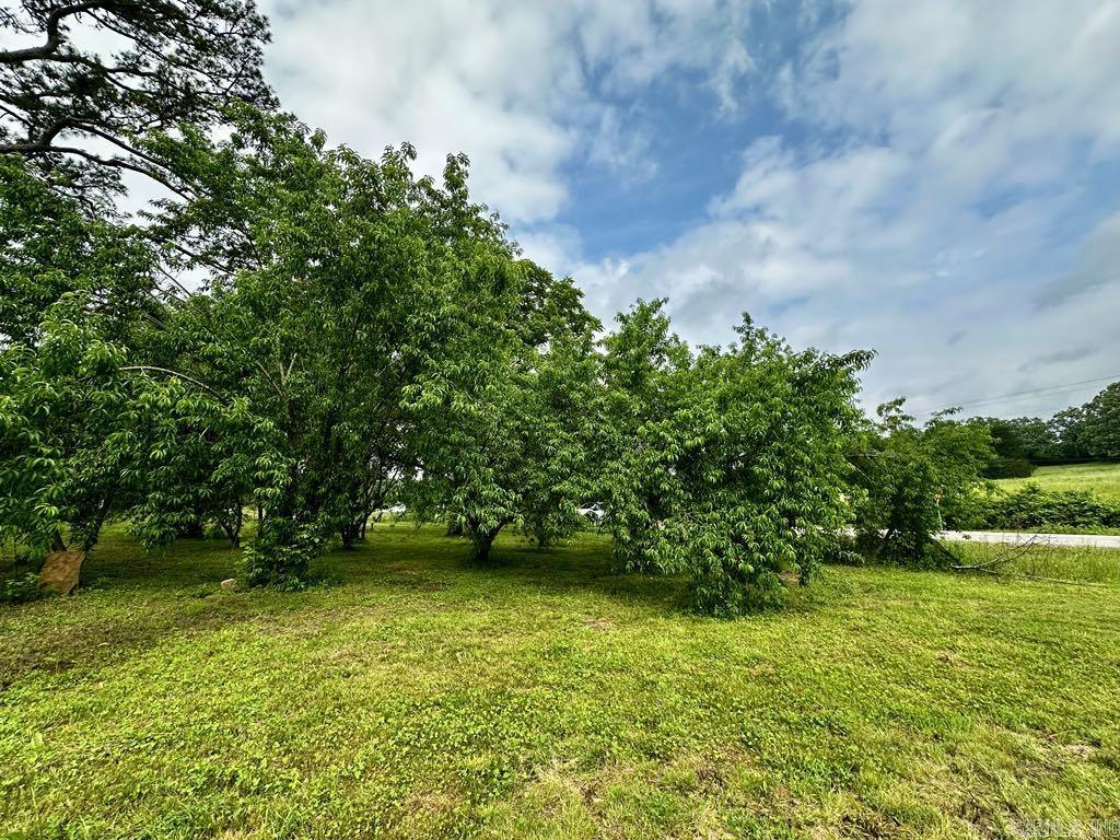 4530  HWY 8 E  Mena, AR