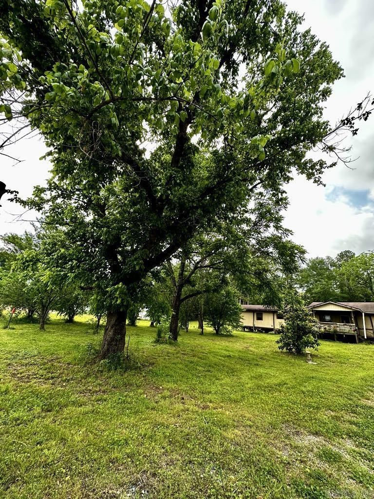 4530  HWY 8 E  Mena, AR