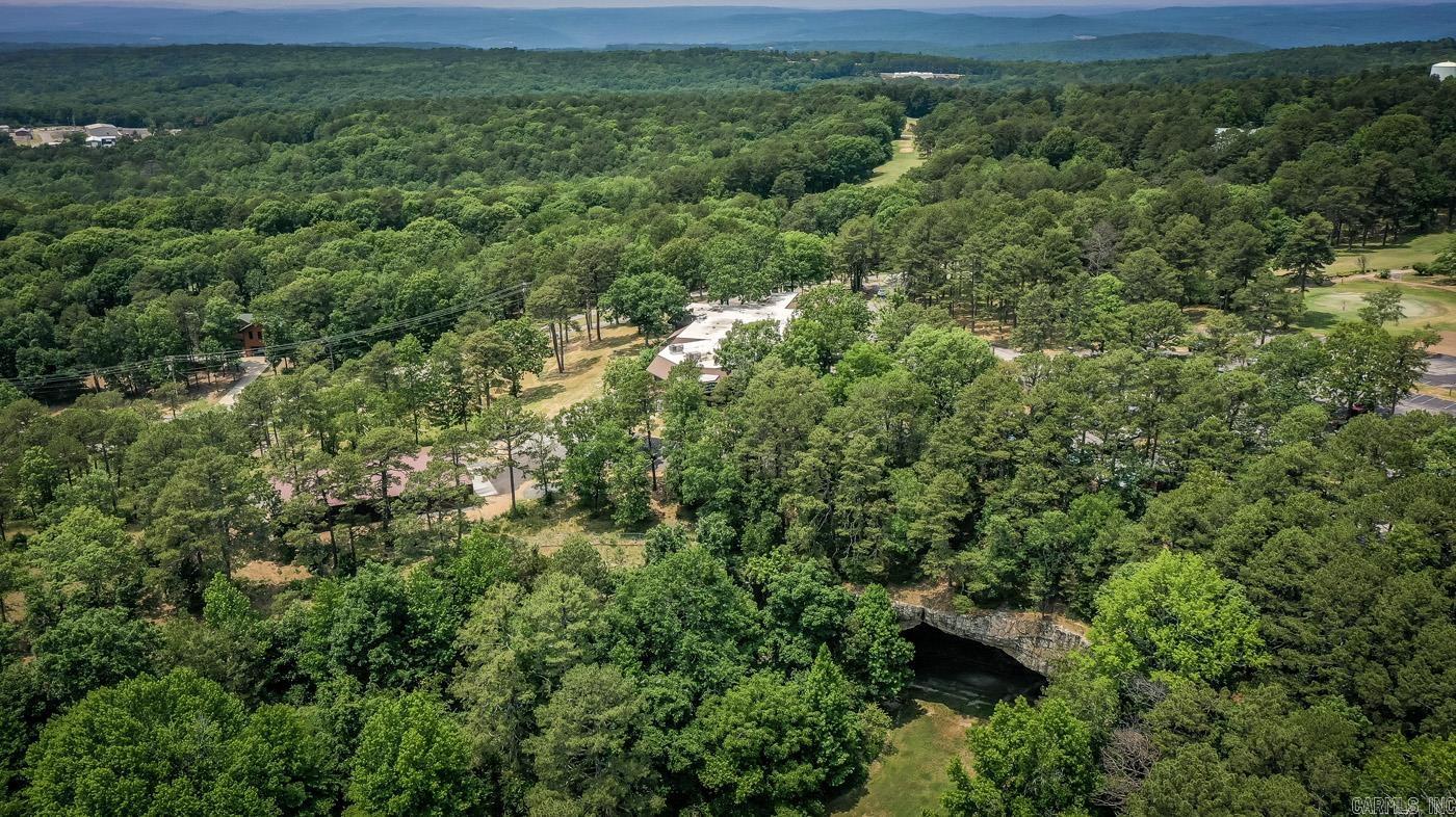 Lot 91 Block 15  Dave Creek Parkway  Fairfield Bay, AR