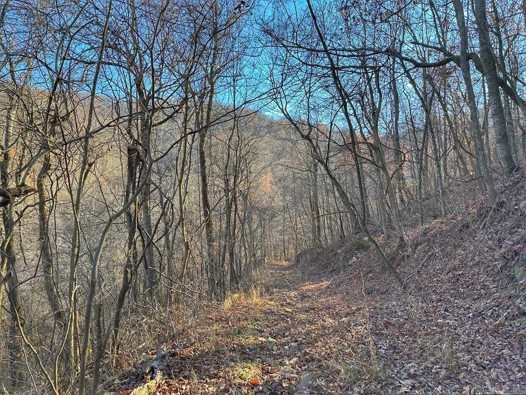 1479  County Road 972  Compton, AR