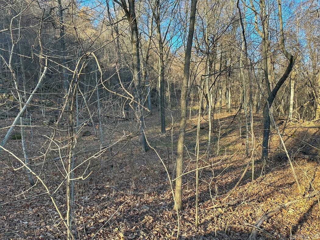 1479  County Road 972  Compton, AR